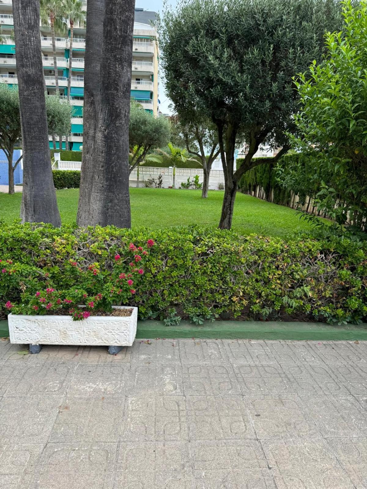 Laramar Lejlighed Playa de Gandia Eksteriør billede